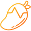 Mango Monitor